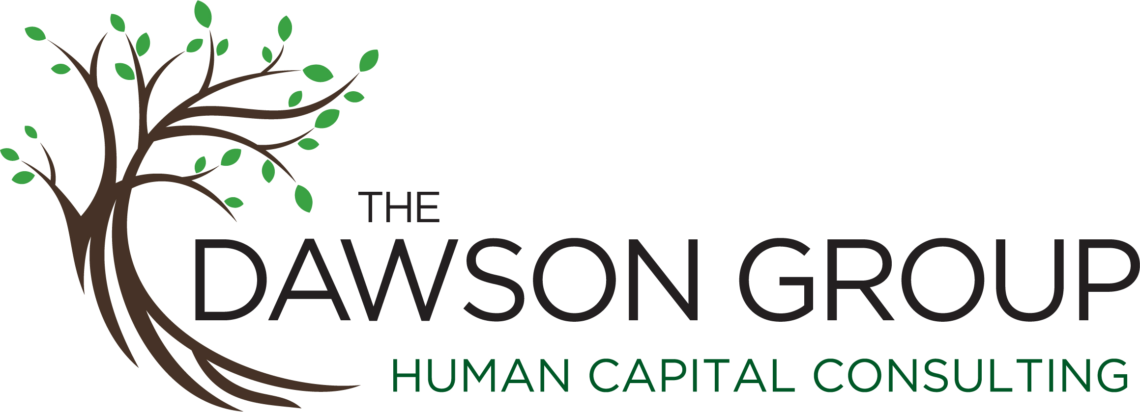 The Dawson Group